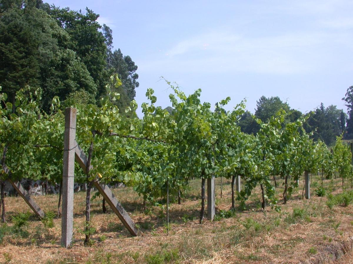 Willa Quinta Da Tapada Lousada Zewnętrze zdjęcie