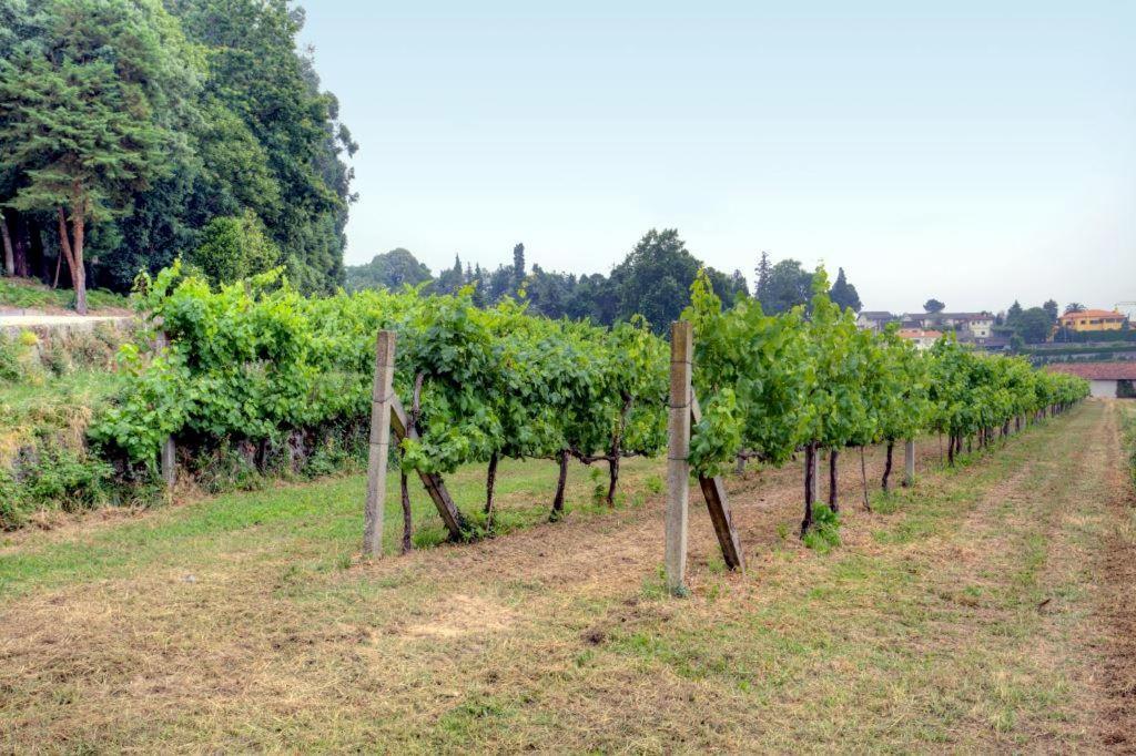 Willa Quinta Da Tapada Lousada Zewnętrze zdjęcie